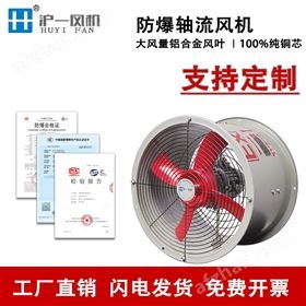 BT35-11BT35防爆轴流风机  壁式散热风扇换气扇