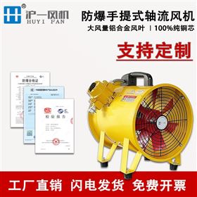 隔爆风机 移动手提式轴流风机 浙江厂家